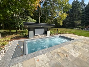 immerspa inground spa & swimspa
